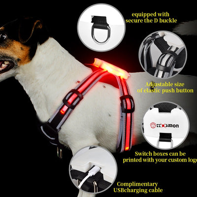 LightHound-LED illuminated and reflective harness for dogs.
