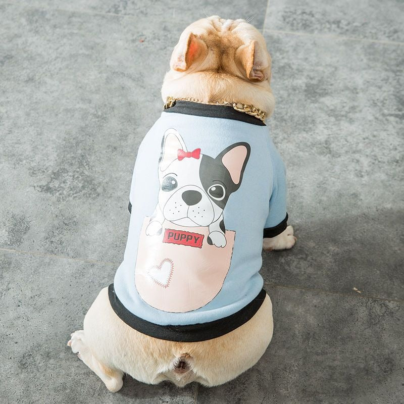 Autumn and Winter frenchie sweaters.