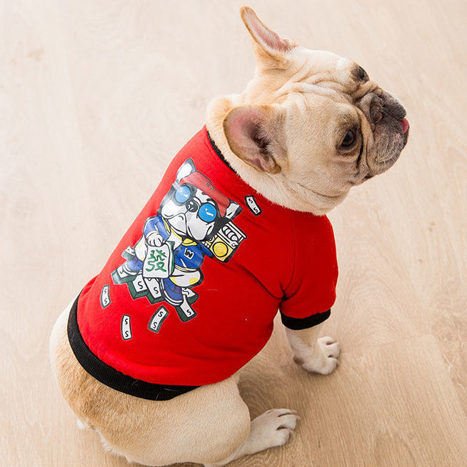 Autumn and Winter frenchie sweaters.