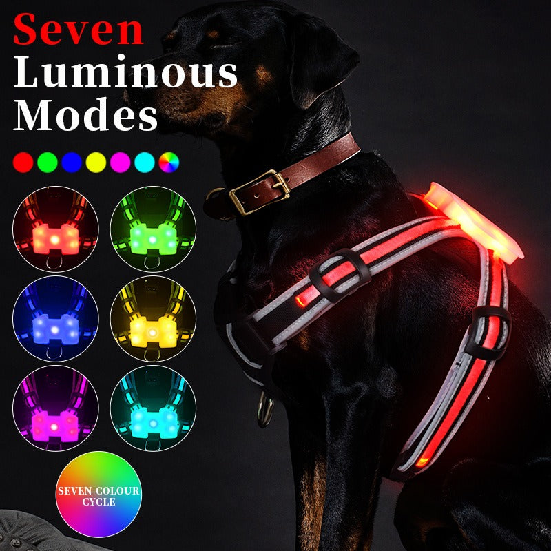LightHound-LED illuminated and reflective harness for dogs.