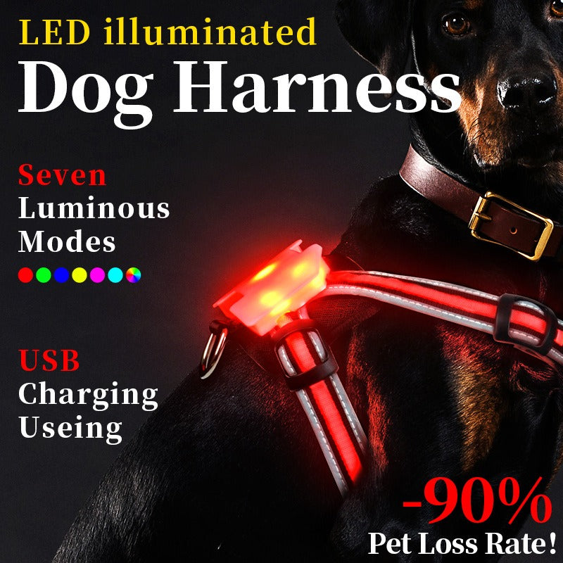 LightHound-LED illuminated and reflective harness for dogs.