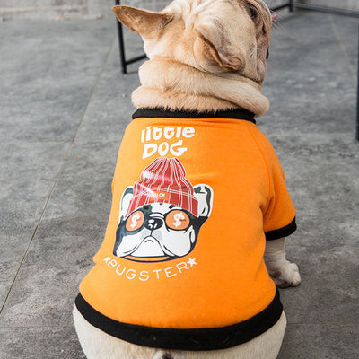 Autumn and Winter frenchie sweaters.