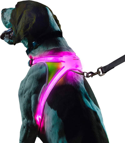 LightHound-LED illuminated and reflective harness for dogs.