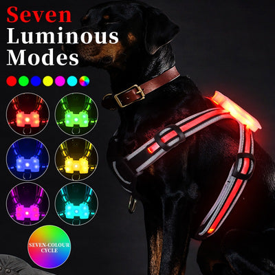 LightHound-LED illuminated and reflective harness for dogs.